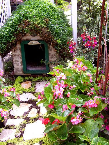 a small dog house in the middle of some flowers and plants with rocks on the ground