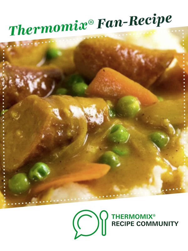 thermomiia pan - recipe book cover shows meat and vegetables in gravy