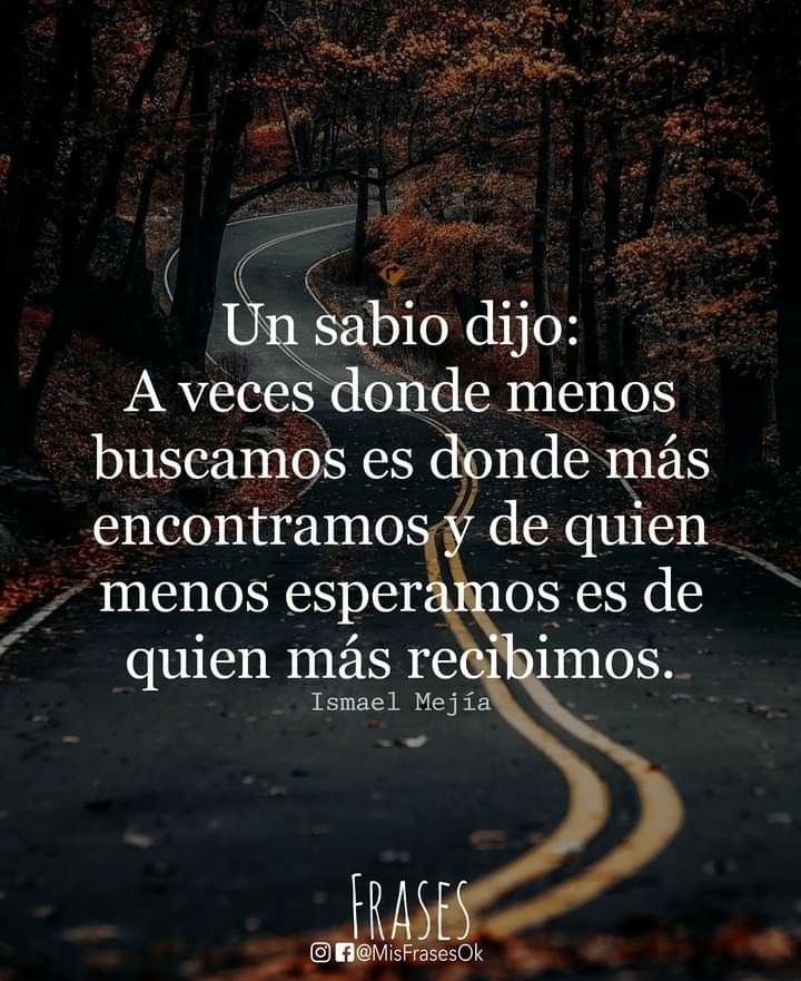 Frases Un Sabio Dijo | Frases hermosas de reflexion, Frases, Frases cortas  sabias