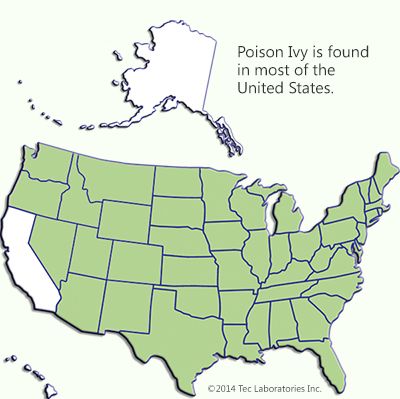 a map of the united states showing prison ivy is found in most of the united states