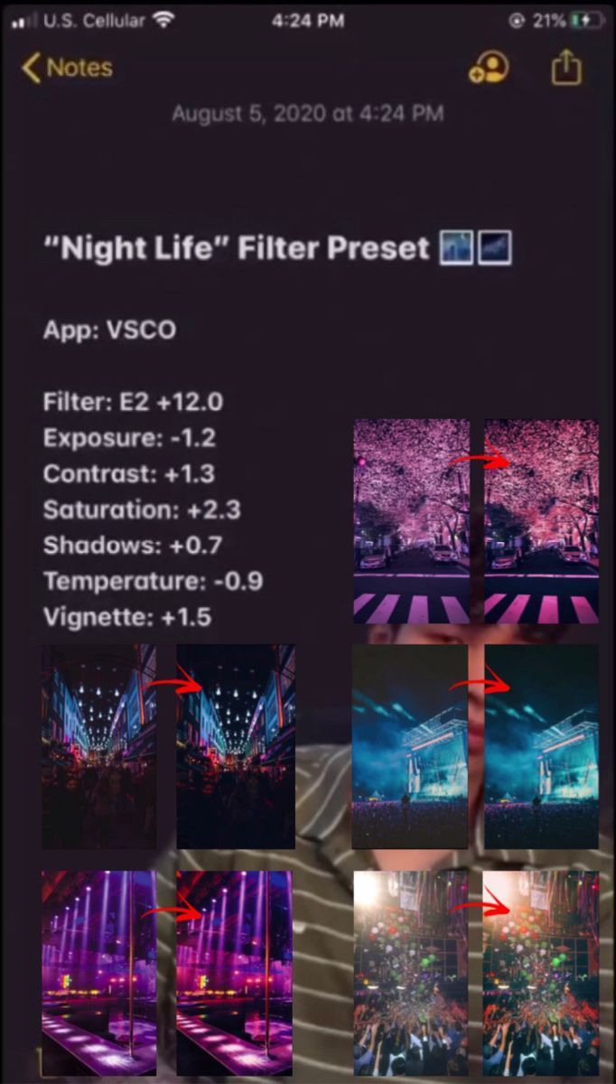 the night life filter preset app on an iphone