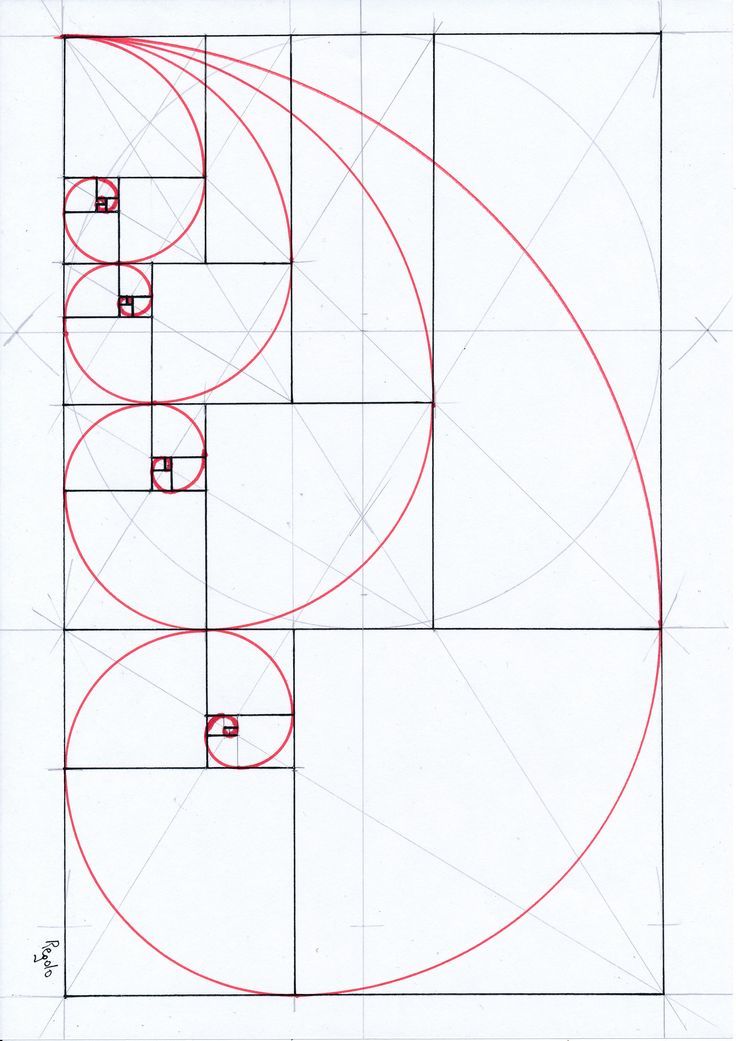 #geometry #goldenratio #fibonacci #fibonaccisequence #handmade #regolo54 #circle Fibonacci Spiral Art, Golden Ratio Art, Fibonacci Art, Golden Section, Mathematics Geometry, Sacred Geometry Patterns, Spiral Art, Fibonacci Spiral, Geometric Pattern Art