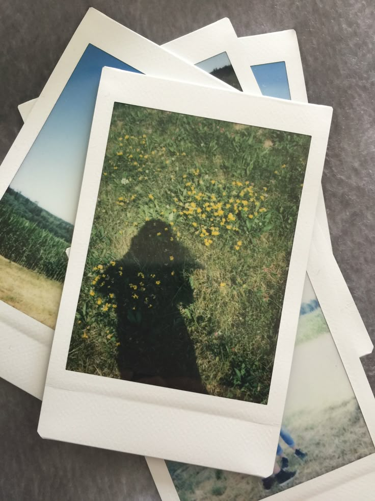 four polaroid photos are stacked on top of each other, with one person's shadow in the grass