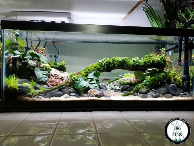 an aquarium filled with plants and rocks on top of a tiled floor next to a wall