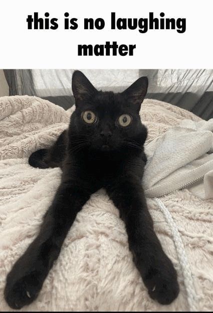 a black cat laying on top of a bed with the caption, this is no laughing matter