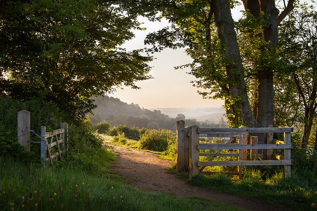 an open gate in the middle of a dirt path leading to a field with trees