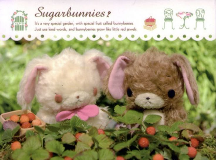 two stuffed animals sitting next to each other in the grass with strawberries around them