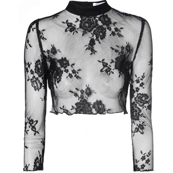 Black Sheer Lace Crop Top ($34) ❤ liked on Polyvore featuring tops, crop tops, shirts, black, crop top, black shirt, keyhole top, black long sleeve shirt and long sleeve shirts Black High Neck Top, Sheer Lace Shirt, Crop Tops Shirts, High Neck Long Sleeve Top, High Neck Shirts, High Neck Crop Top, Sheer Lace Top, Black Long Sleeve Shirt, Shirts Black