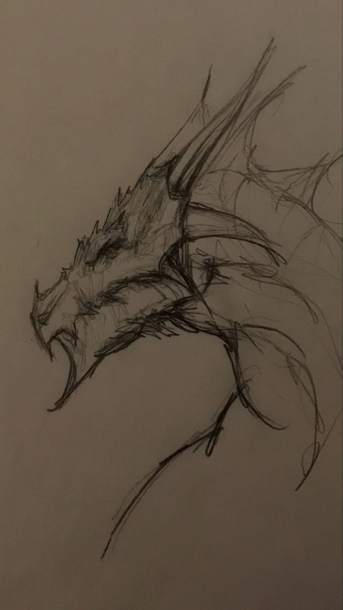 a drawing of a dragon on a sheet of paper