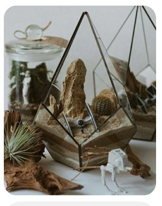 two glass terrariums with plants and rocks in them