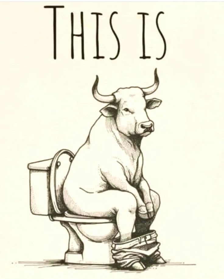 a drawing of a bull sitting on top of a toilet with the words, this is