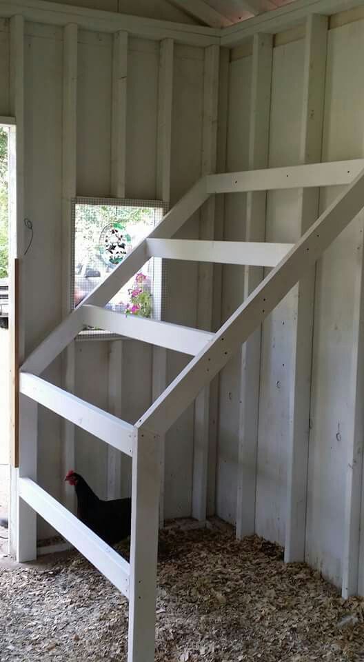 a chicken is standing in the corner of a barn with its stairs up to it's door