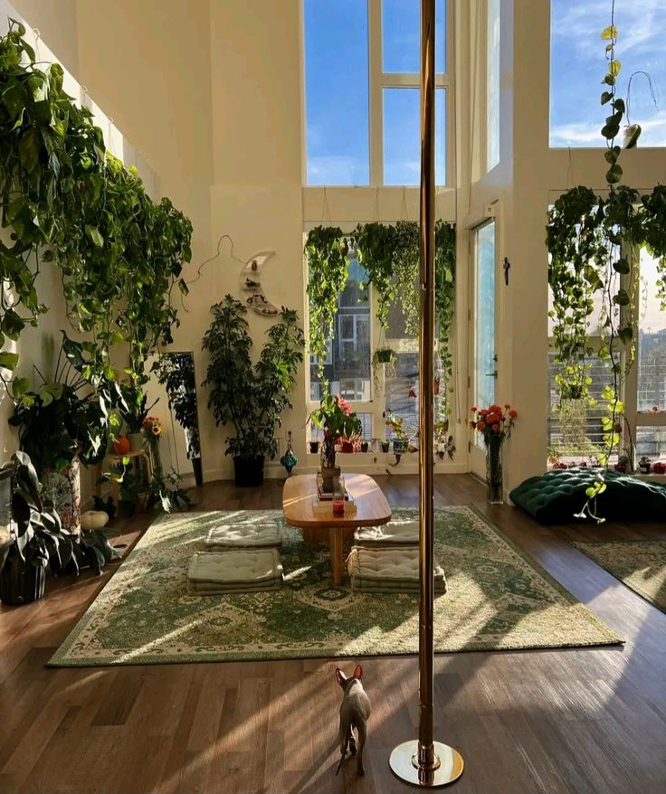 a living room filled with furniture and lots of plants on top of the wooden floor