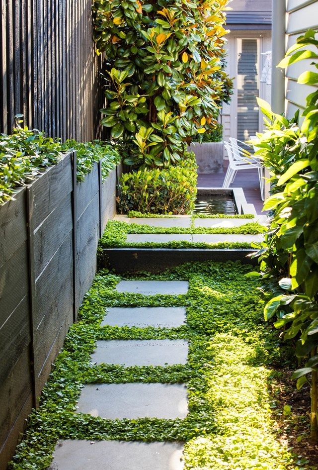 an outdoor garden with stepping stones and grass