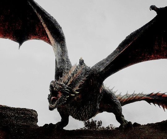 a large black dragon standing on top of a rock