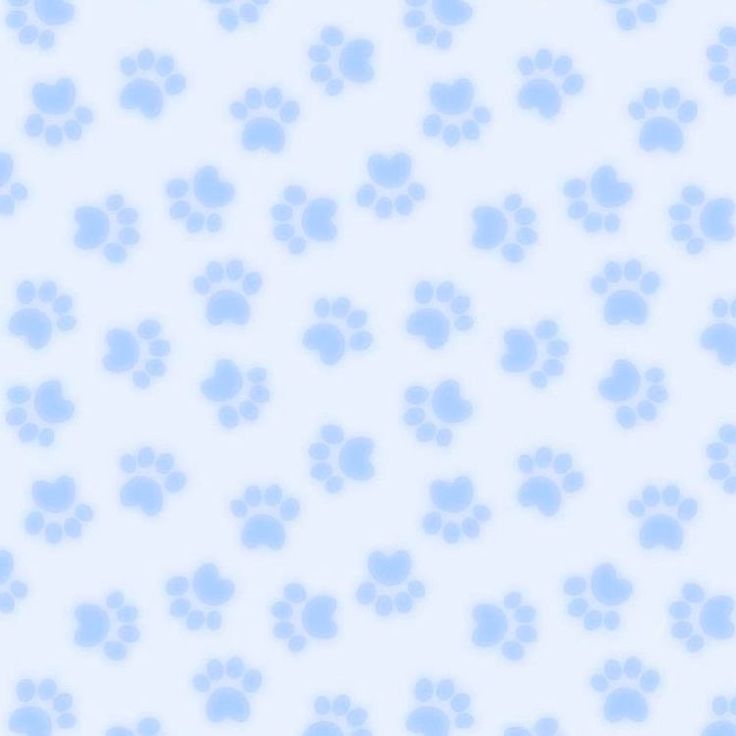 a blue and white background with many paw prints