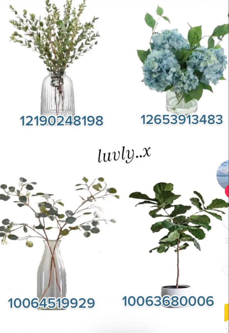 four different vases with flowers in them and numbers on the bottom one is labeled