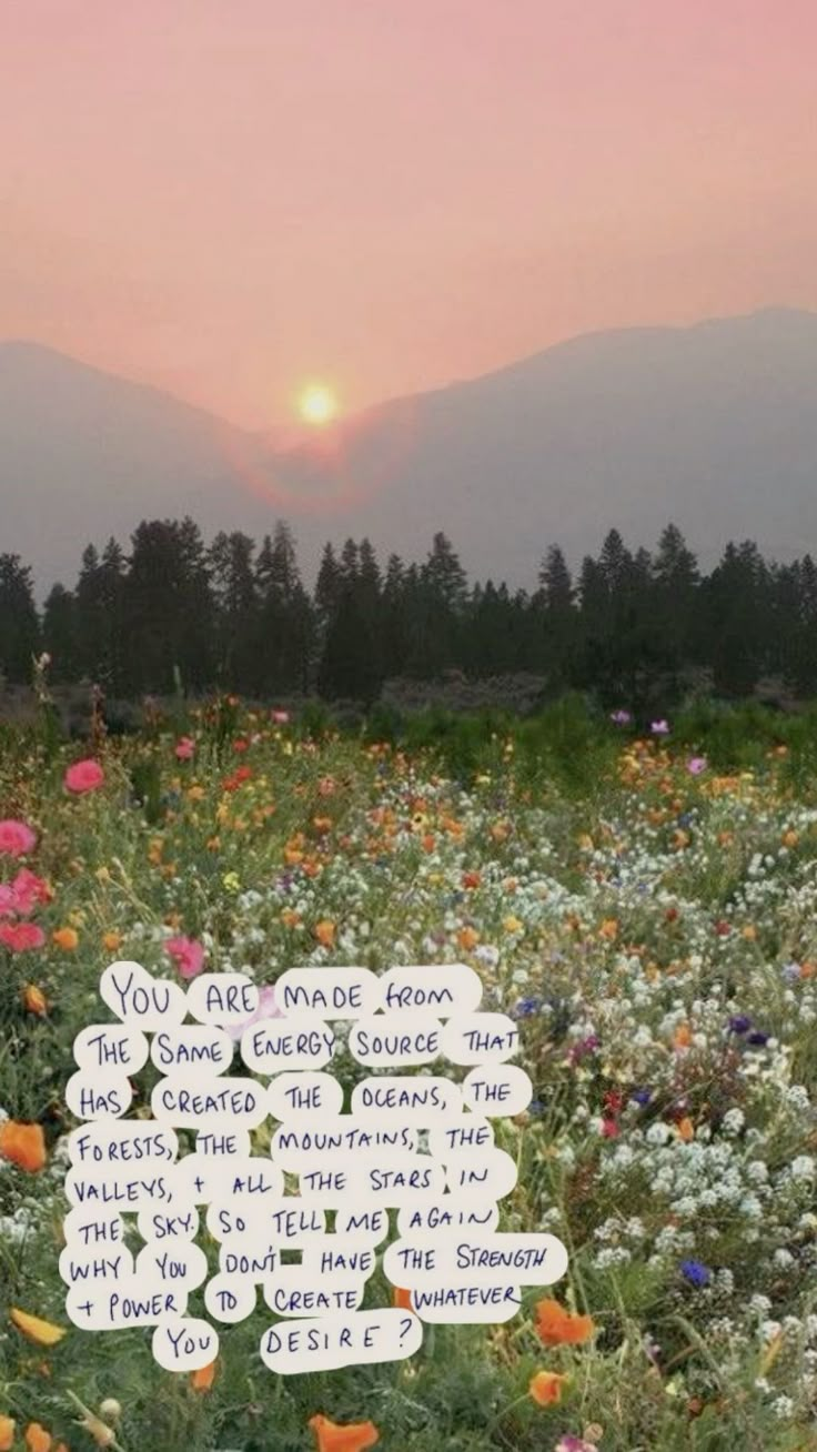 a field filled with lots of wildflowers under a pink sky