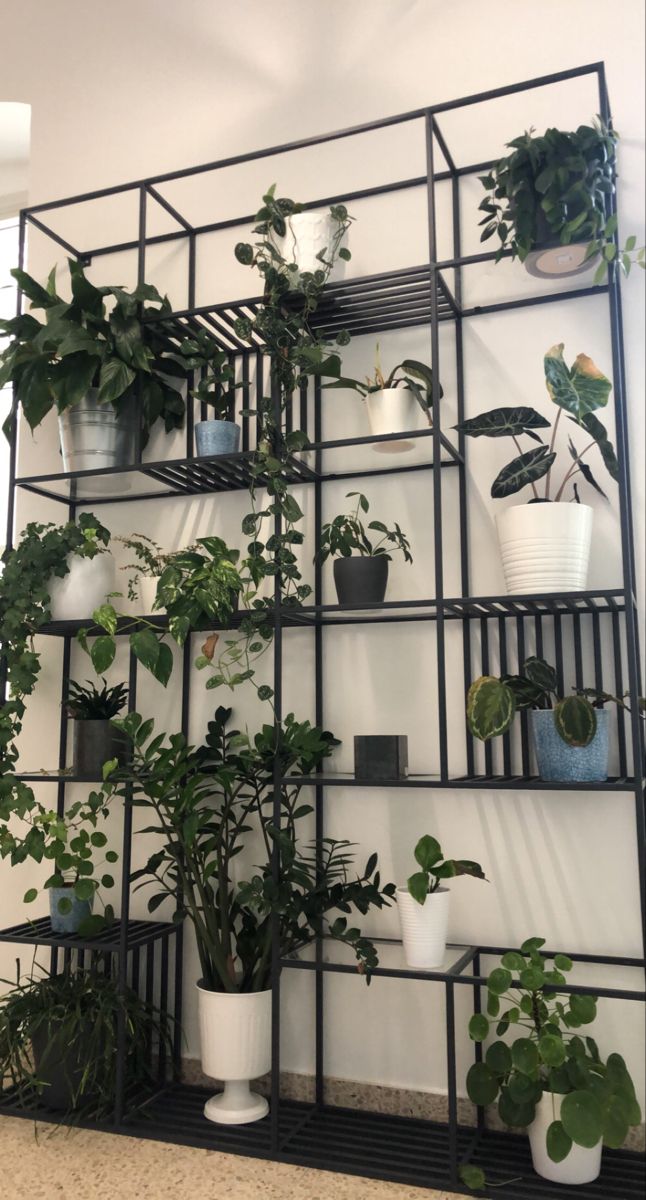 a shelf filled with lots of potted plants