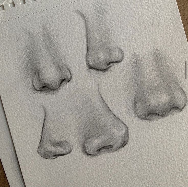 three different angles of the nose and noses in graphite on paper, each with an individual's face