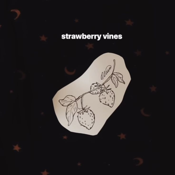 the cover art for strawberry vines