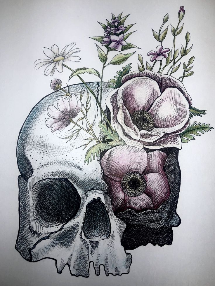 a drawing of a skull with flowers in it