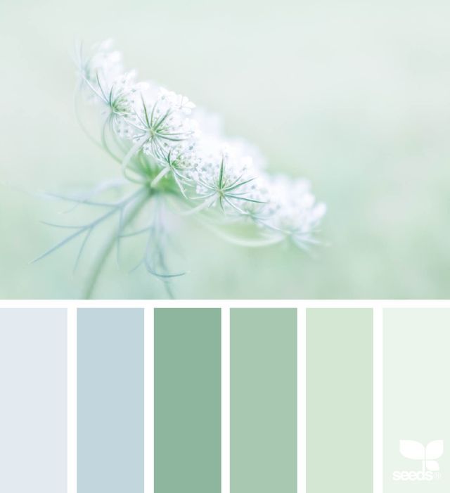 the color scheme is pale green and blue, with some white flowers on top of it