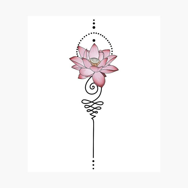 a drawing of a pink flower on a white background