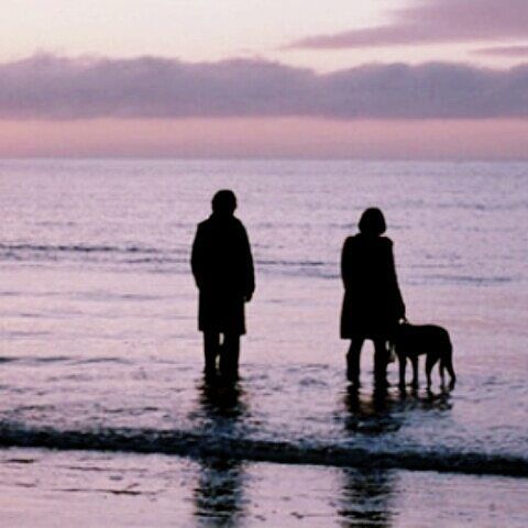 two people are standing in the water with their dog on a beach at sunset or dawn