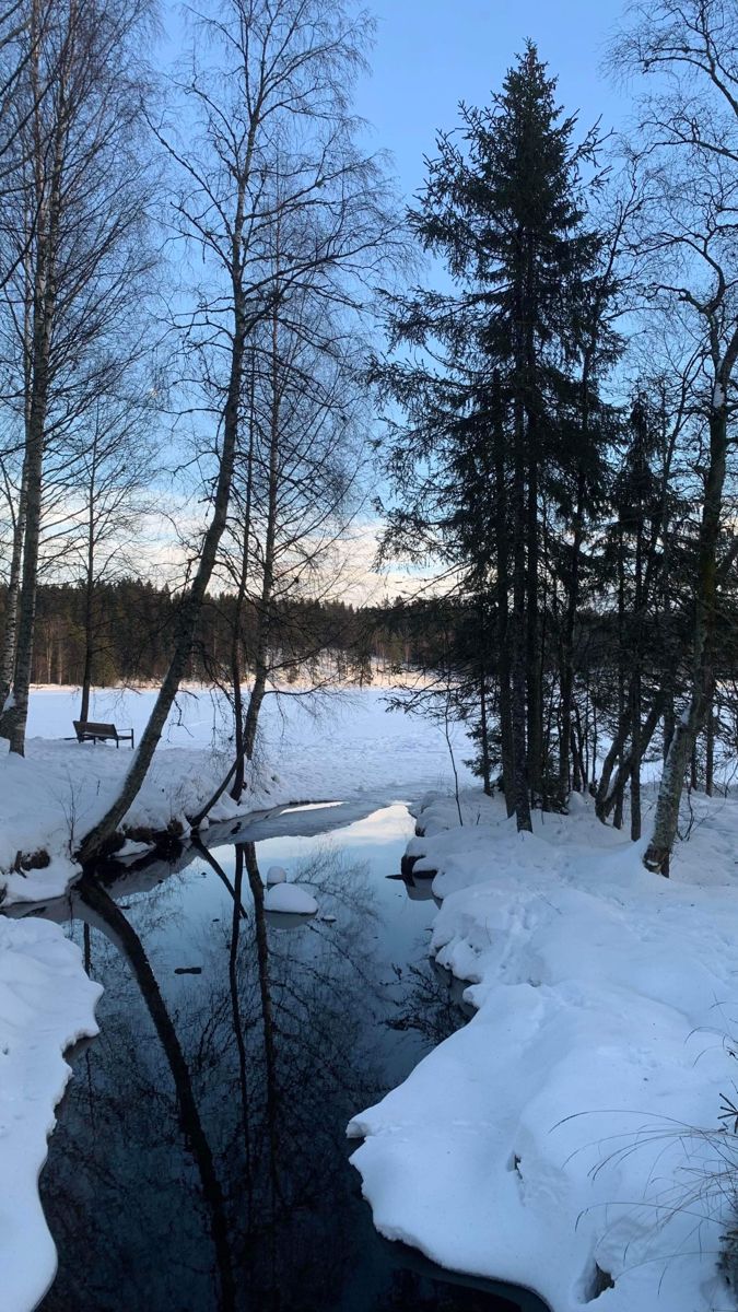 a river running through a snow covered forest