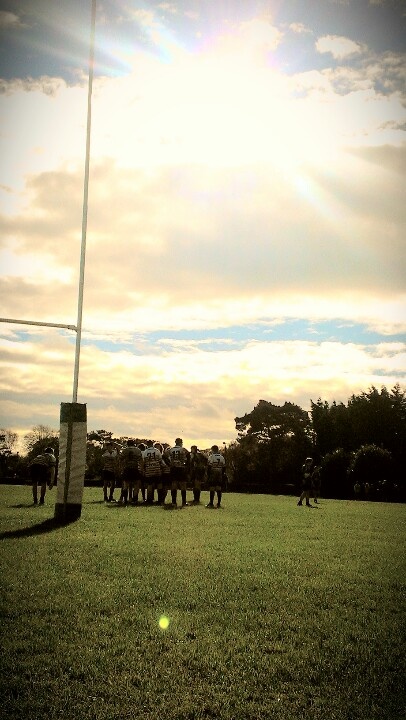 a group of horses standing in the grass near a flag pole and some people on a field