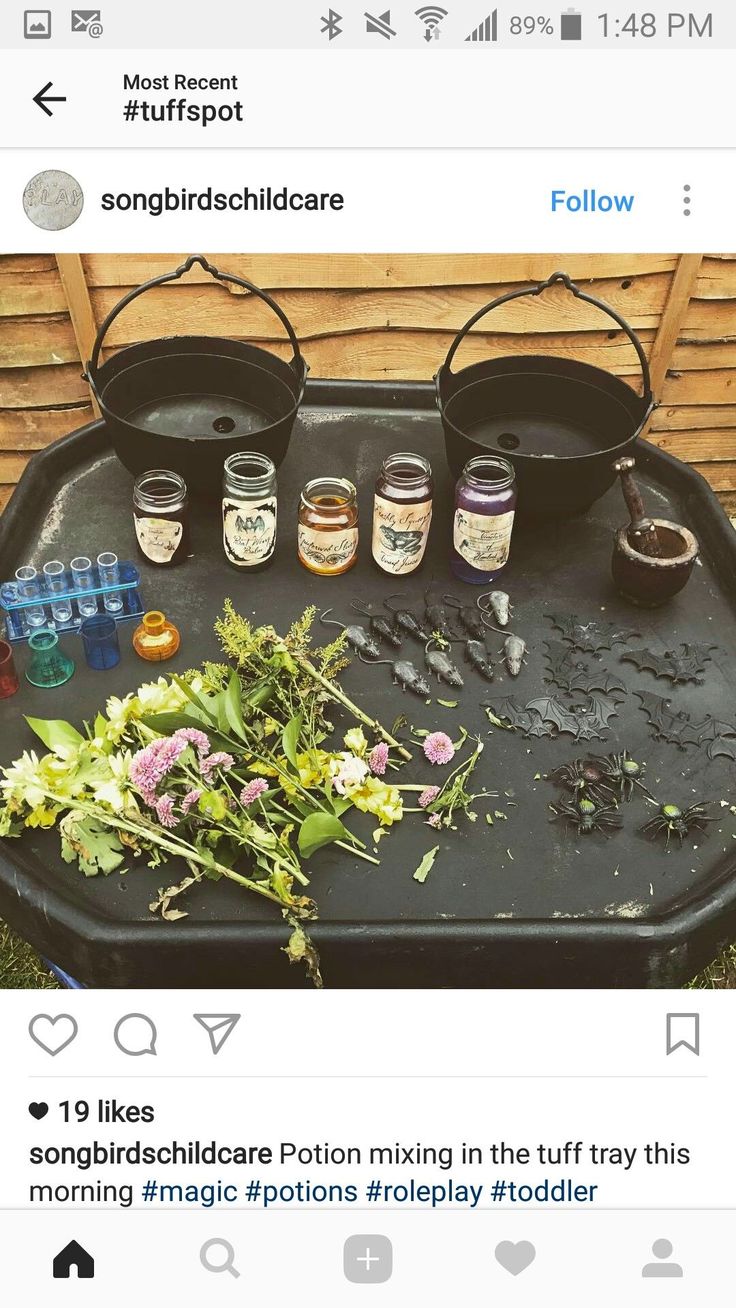 an image of flowers and jars on a table with the caption's tweep