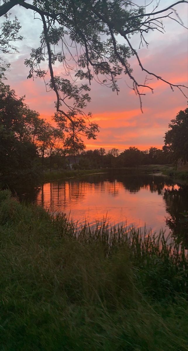 the sun is setting over a body of water with trees and grass in front of it