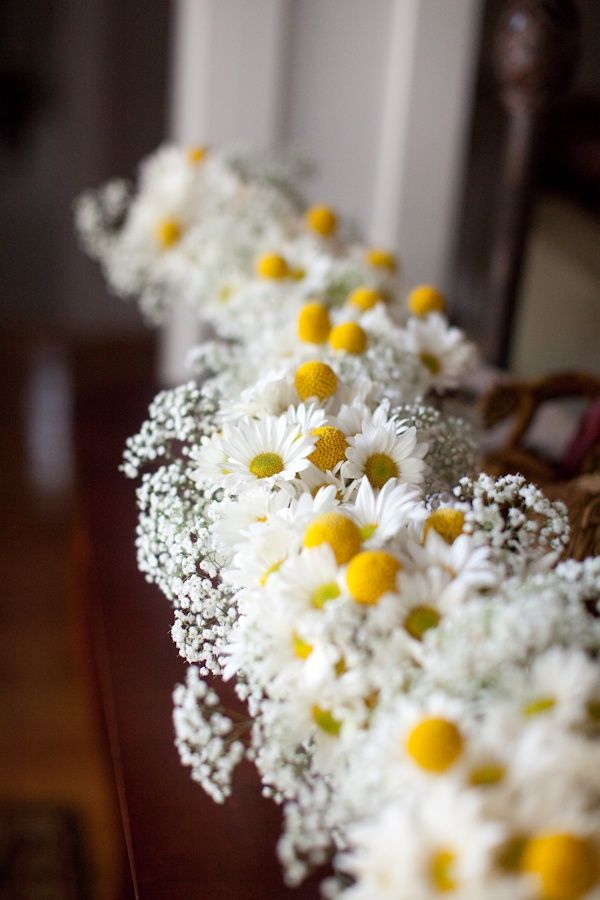 daisies and baby's breath are arranged in a row on a table top