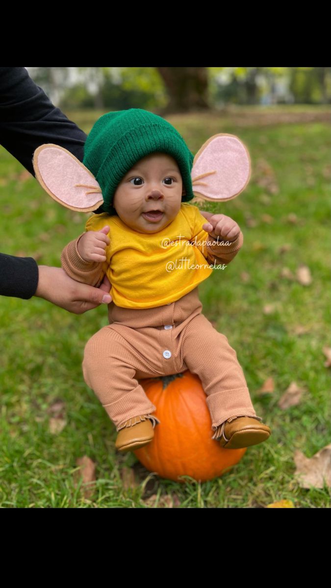 Cute adorable halloween baby costume gus gus cinderella homemade diy First Halloween Costumes Boy, 1st Halloween Costumes Boy, Gus Gus Cinderella, Gus Cinderella, Diy Fantasia, Halloween Fantasia, Family Themed Halloween Costumes