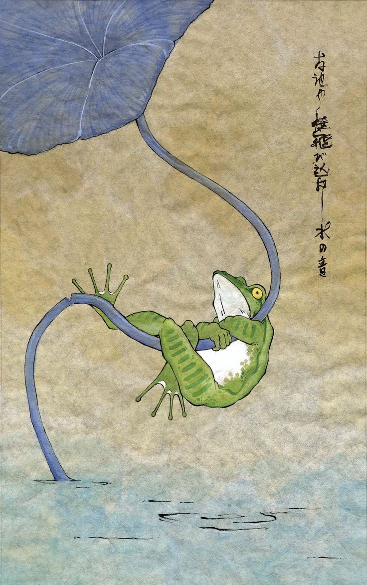 a drawing of a frog hanging upside down in the water with a leaf on it's back