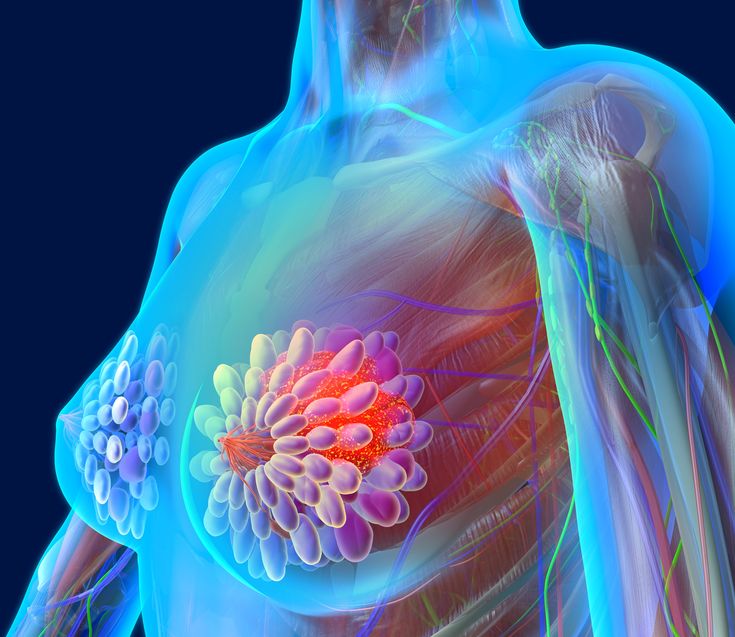 an image of a woman's breast with her highlighted muscles