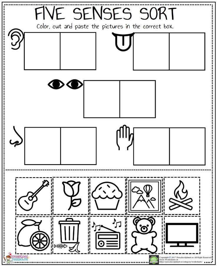 the five senses sort worksheet with pictures to help students understand what they are doing