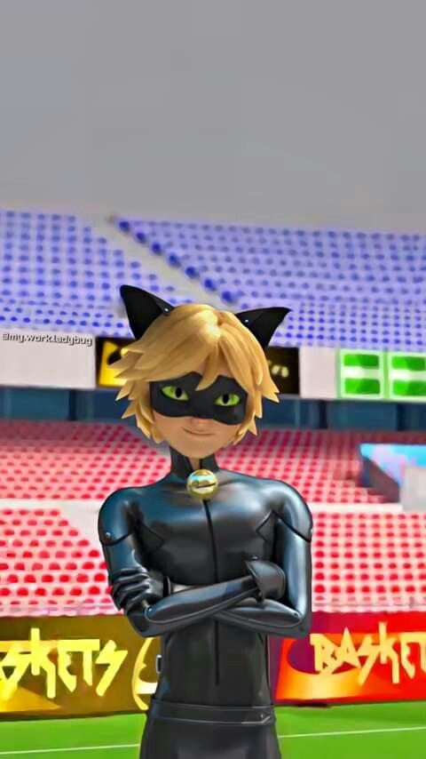 a cartoon character standing in front of a soccer field with his arms crossed and wearing a black cat mask