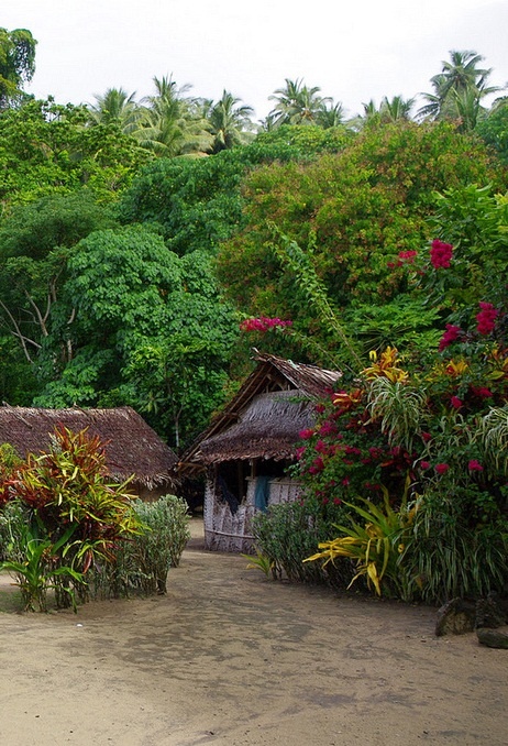 an elephant standing in front of a hut surrounded by trees and bushes on a dirt road