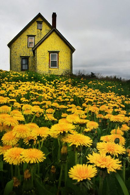 a yellow house sitting on top of a lush green hillside covered in flowers next to a forest