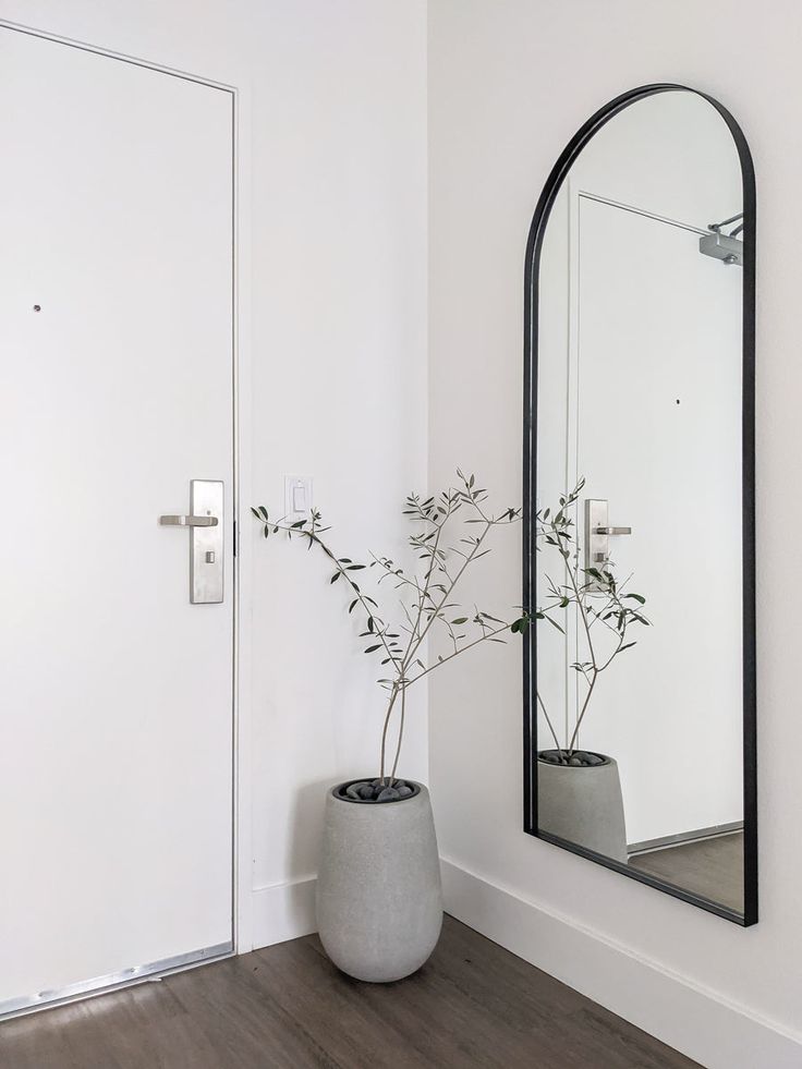 a plant in a pot sitting next to a large mirror on the side of a wall