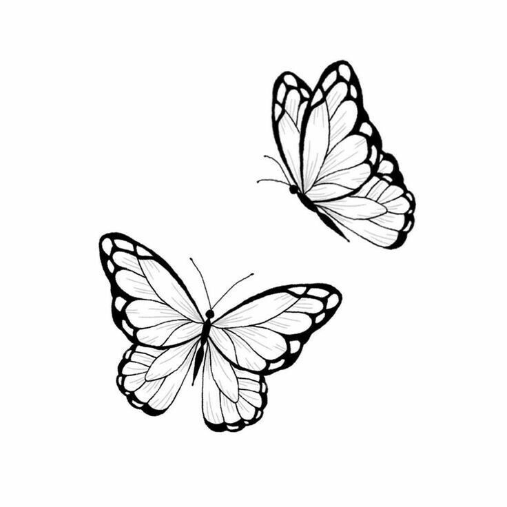 two butterflies flying side by side