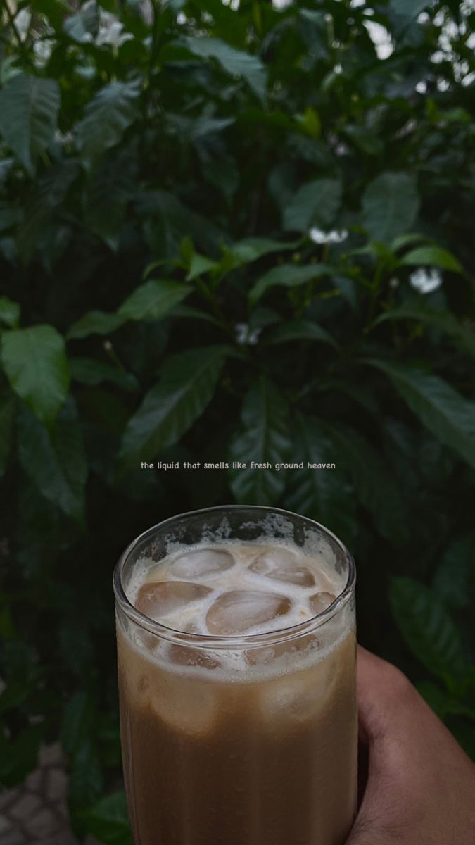 a hand holding a drink in front of some green plants and trees with the caption that reads, we would have more coffee than one