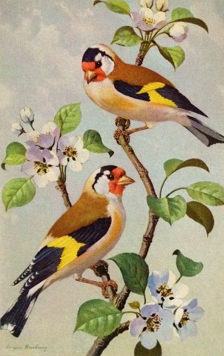 two birds sitting on top of a tree branch next to white and blue flowers with green leaves