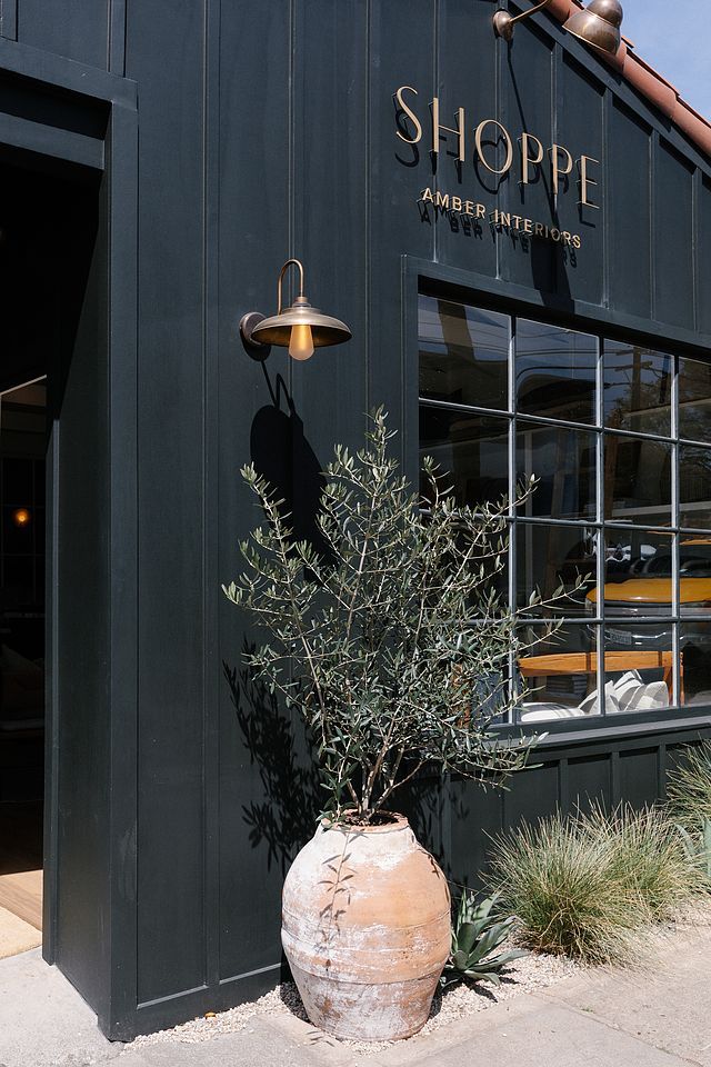 an image of a store front with plants in the foreground and on the wall