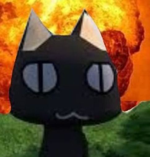 a black cat standing on top of a green field next to an orange and yellow explosion