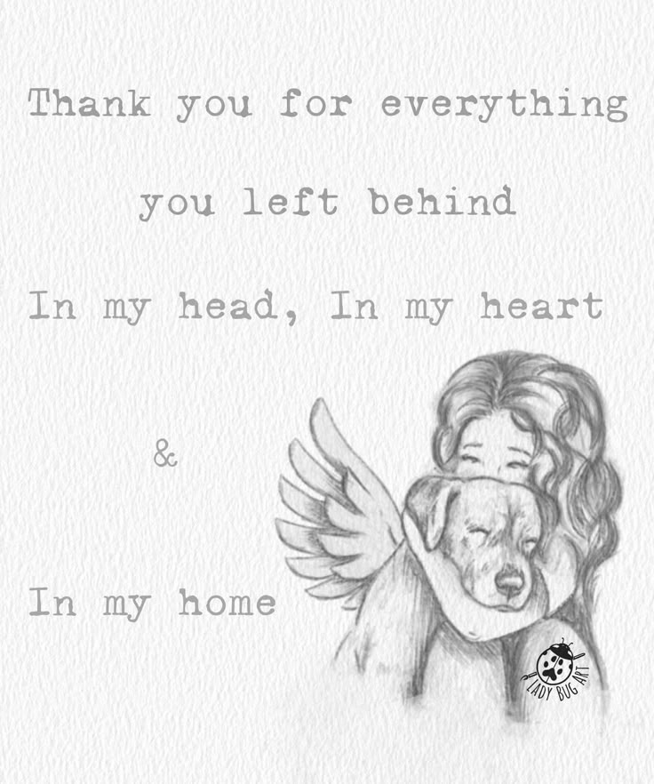 a drawing of an angel hugging a dog with the words thank you for everything you left behind