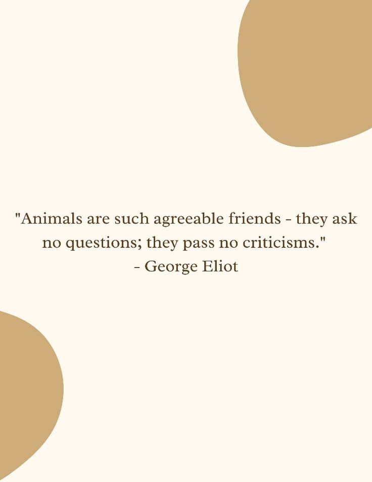 a quote from george ellot that says animals are such agreeable friends - they ask no questions, they pass no criticisms