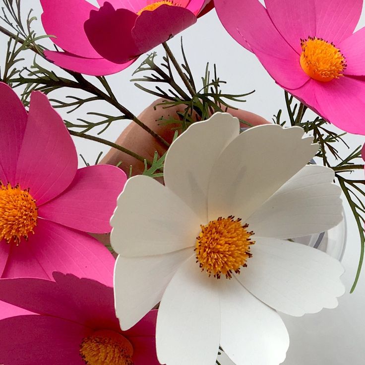 pink and white flowers are in a vase